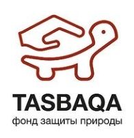 Фонд защиты черепах в Казахстане