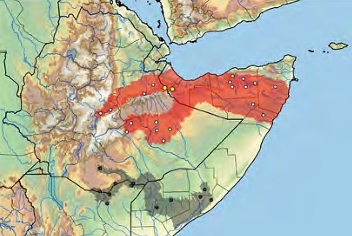Сомалийская пеломедуза - места обитания