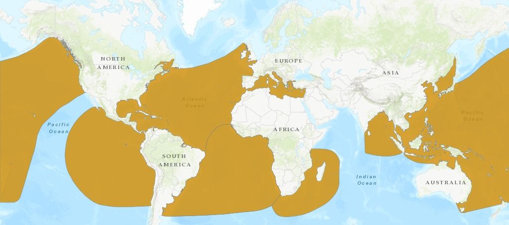 карта распространения кожистой черепахи