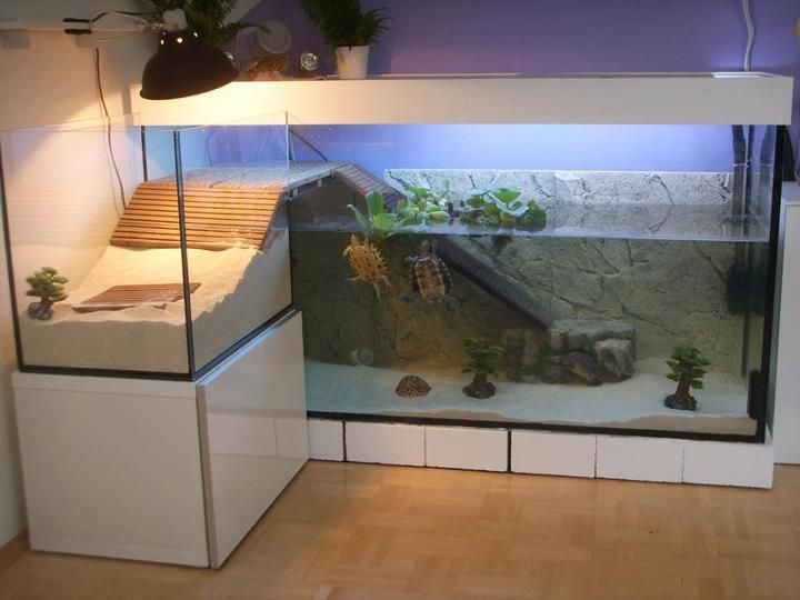 Аквариум для водных черепах