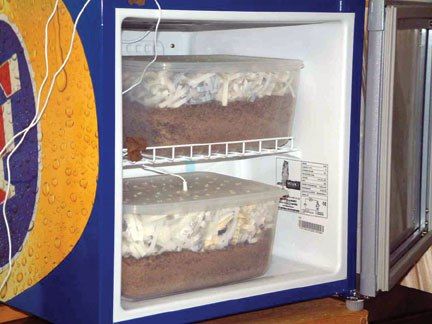 холодильник для зимовки для черепах