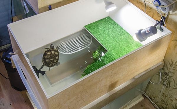 Мостик-площадка на присосках для черепах в аквариум - 24см