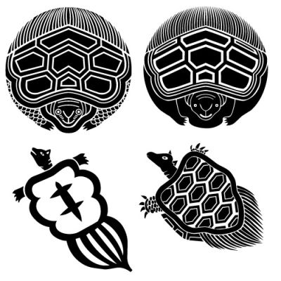Черепаха с водорослями на голове и панцире